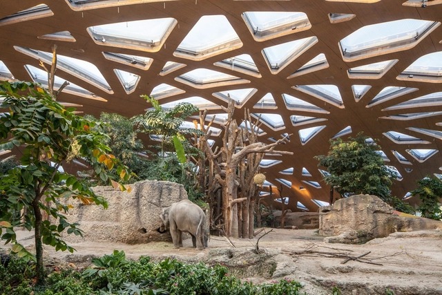 苏黎世动物园新象舍 / Markus Schietsch Architekten - 动物园