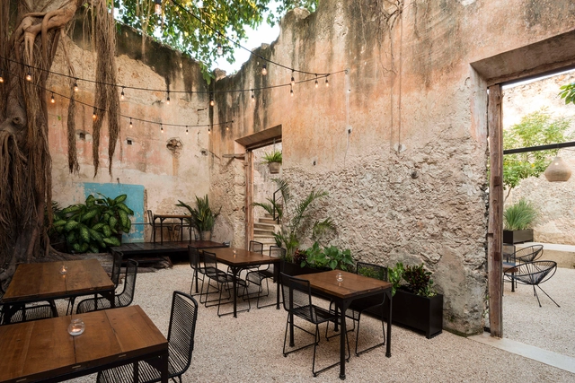 Bares y Restaurantes: 50 ejemplos en planta y sección - Imagen Principal