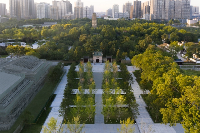 如果让城市凉下来？ - 主图