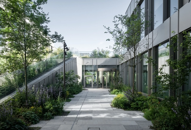Green Therapy: How Does Nature Contribute to Healing Hospitalized Patients? - Featured Image